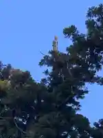 村山浅間神社の自然