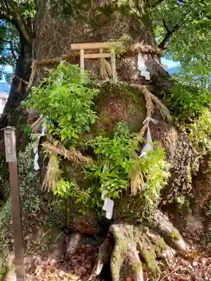 尾鷲神社(三重県)