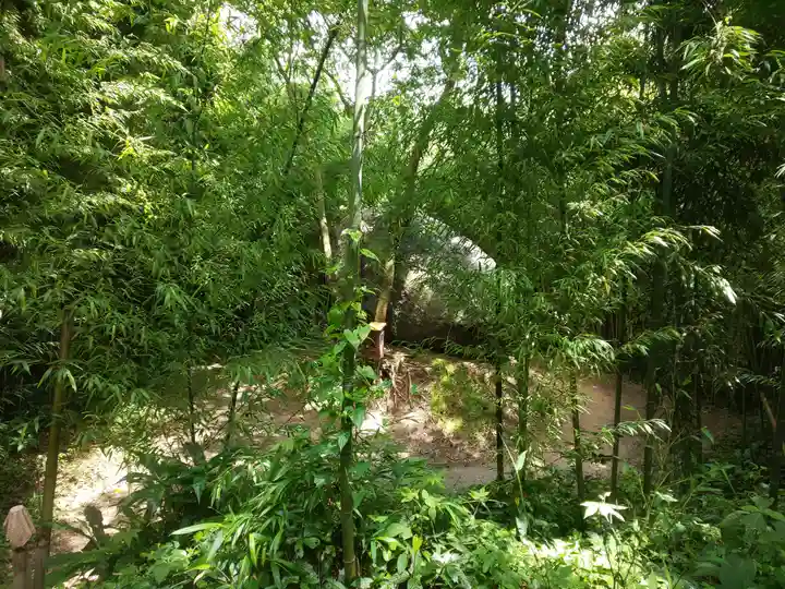 神在神社の自然