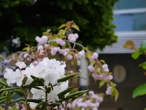 極楽山　浄土寺の自然