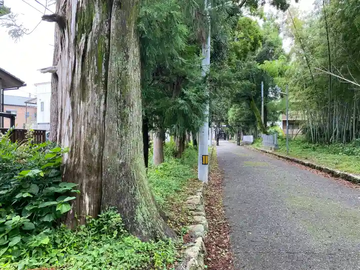 朝倉神社(高知県)