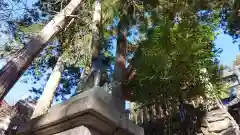 三峯神社(埼玉県)