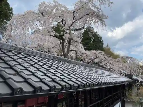 十輪寺(京都府)