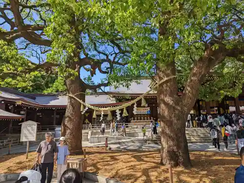 明治神宮(東京都)