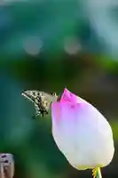 浄土寺(兵庫県)