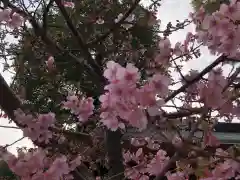 櫛田神社の自然