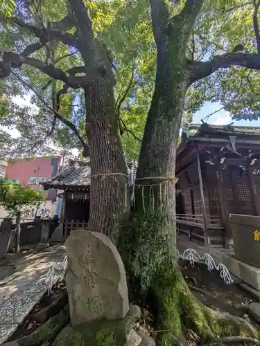 千住氷川神社(東京都)