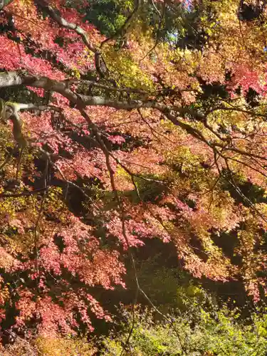 蓬莱神社の自然