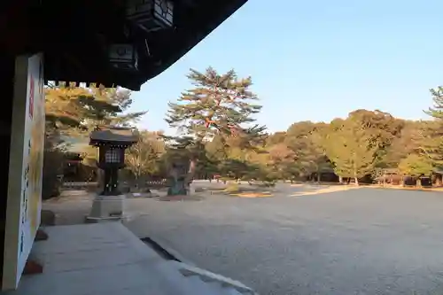 橿原神宮(奈良県)