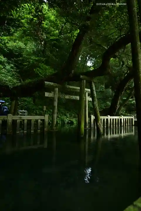 鹿島神宮(茨城県)