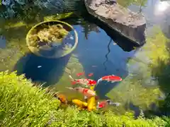 長禅寺(茨城県)