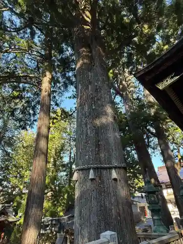 三峯神社の{uncategorized: "未分類", other: "その他", undefined: "問題あり", building: "その他建物", grave: "お墓", sacred_gate: "鳥居", guardian: "狛犬", statue: "像", buddha: "仏像", history: "歴史", nature: "自然", garden: "庭園", animal: "動物", pagoda: "塔", temizu: "手水舎", mountain_gate: "山門・神門", sanctuary: "本殿・本堂", subordinate: "末社・摂社", art: "芸術", scenery: "景色", jizo: "地蔵", ema: "絵馬", goshuin: "御朱印", omikuji: "おみくじ", items: "授与品その他", amulet: "お守り", goshuincho: "御朱印帳", eats: "食事", festival: "お祭り", votive_dance: "神楽", shichigosan: "七五三参", wedding: "結婚式", experience: "体験その他", initially: "初詣", around: "周辺", anti_infection: "感染症対策"}