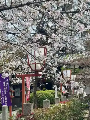 長建寺の{uncategorized: "未分類", other: "その他", undefined: "問題あり", building: "その他建物", grave: "お墓", sacred_gate: "鳥居", guardian: "狛犬", statue: "像", buddha: "仏像", history: "歴史", nature: "自然", garden: "庭園", animal: "動物", pagoda: "塔", temizu: "手水舎", mountain_gate: "山門・神門", sanctuary: "本殿・本堂", subordinate: "末社・摂社", art: "芸術", scenery: "景色", jizo: "地蔵", ema: "絵馬", goshuin: "御朱印", omikuji: "おみくじ", items: "授与品その他", amulet: "お守り", goshuincho: "御朱印帳", eats: "食事", festival: "お祭り", votive_dance: "神楽", shichigosan: "七五三参", wedding: "結婚式", experience: "体験その他", initially: "初詣", around: "周辺", anti_infection: "感染症対策"}