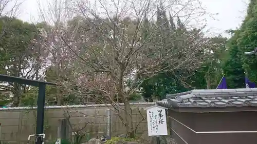 太閤山常泉寺の自然