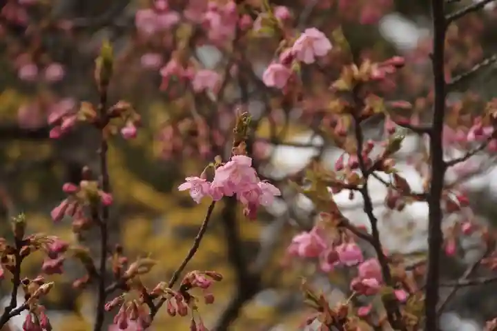 開成山大神宮の庭園