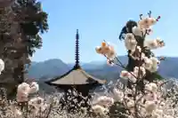 国宝 大法寺の自然