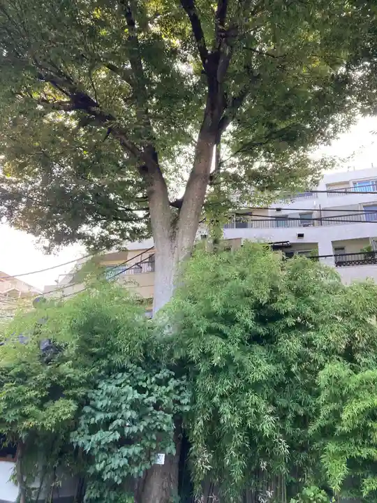 文殊院(東京都)