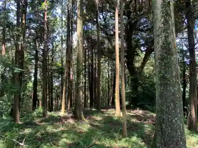 眺洋寺のその他建物