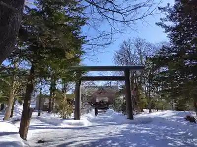 信濃神社の鳥居