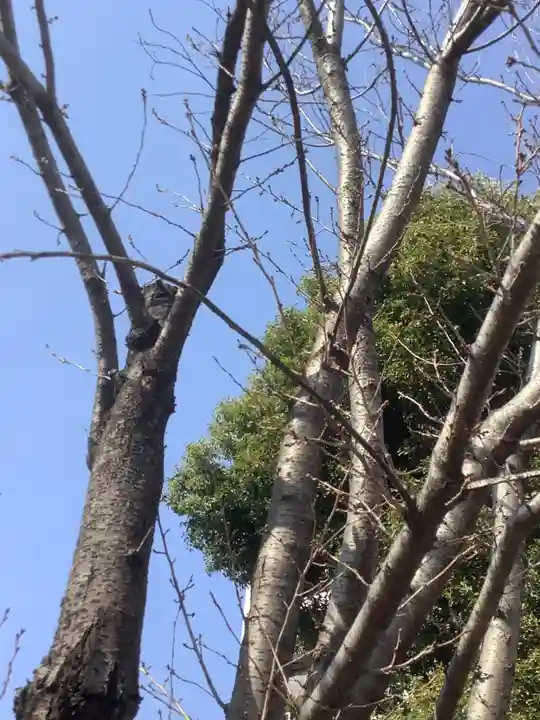 三輪神社の自然