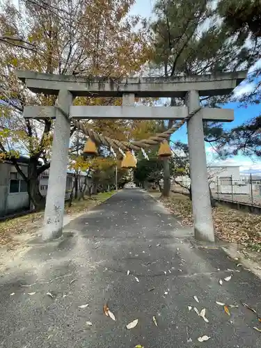糟目犬頭神社(愛知県)
