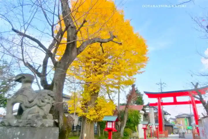 鷲宮神社(埼玉県)