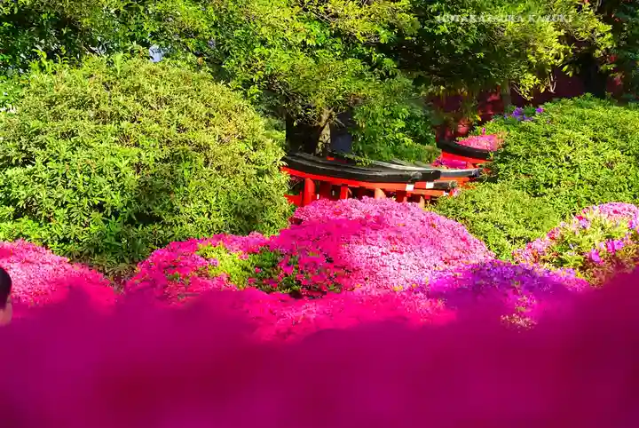 根津神社(東京都)