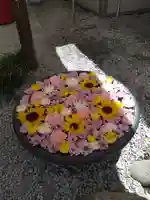 埼玉厄除け開運大師・龍泉寺(切り絵御朱印発祥の寺)(埼玉県)