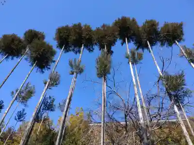東光寺(埼玉県)