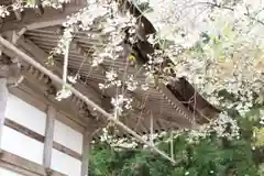 常照皇寺の建物その他