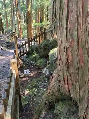 玉置神社(奈良県)