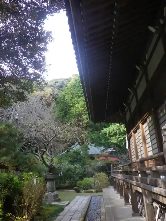 安國論寺(安国論寺)の庭園