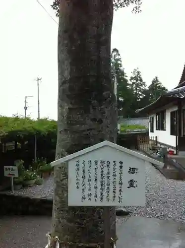 西寒多神社の自然