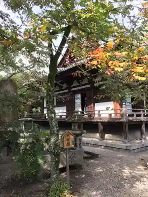 道明寺の本殿・本堂