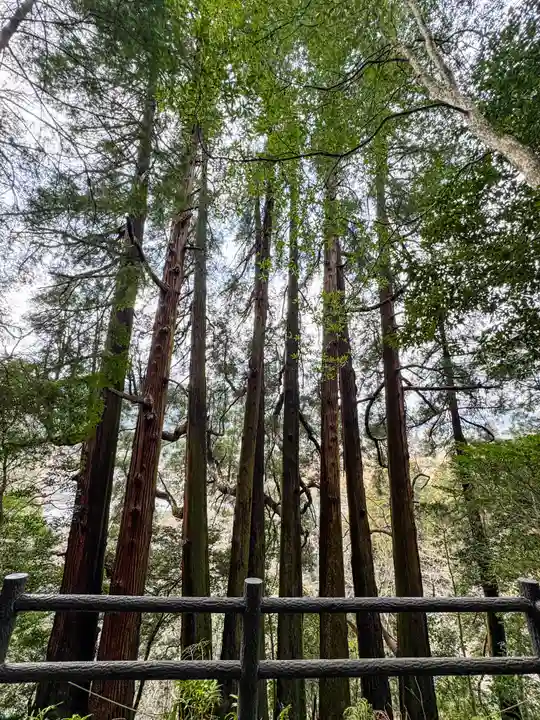 天岩戸神社(宮崎県)