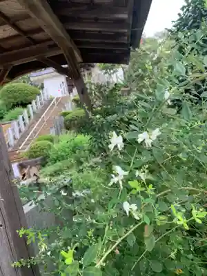 真浄寺(茨城県)