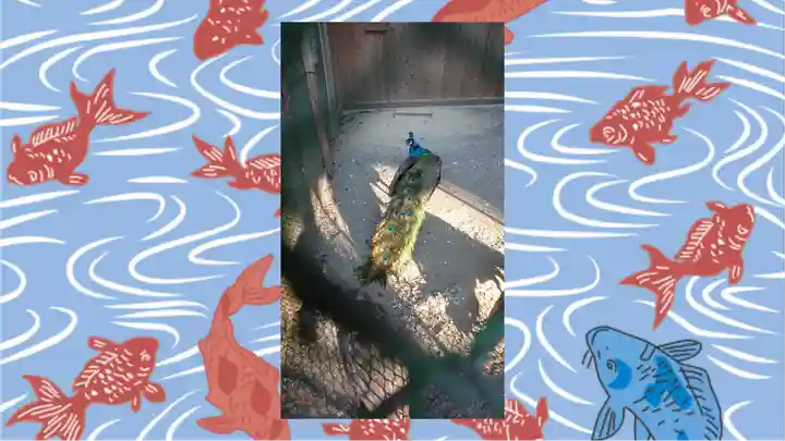 岩槻久伊豆神社(埼玉県)