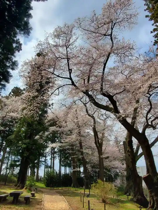 神炊館神社 ⁂奥州須賀川総鎮守⁂の自然