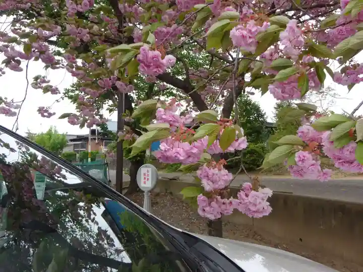 熊野福藏神社の自然