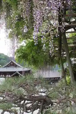 當麻寺 宗胤院(奈良県)