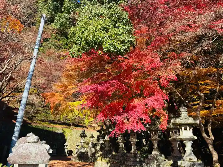 箸蔵寺(徳島県)