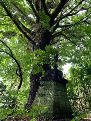 浪切不動尊の自然