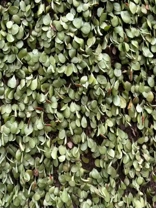 岐阜護國神社の{uncategorized: "未分類", other: "その他", undefined: "問題あり", building: "その他建物", grave: "お墓", sacred_gate: "鳥居", guardian: "狛犬", statue: "像", buddha: "仏像", history: "歴史", nature: "自然", garden: "庭園", animal: "動物", pagoda: "塔", temizu: "手水舎", mountain_gate: "山門・神門", sanctuary: "本殿・本堂", subordinate: "末社・摂社", art: "芸術", scenery: "景色", jizo: "地蔵", ema: "絵馬", goshuin: "御朱印", omikuji: "おみくじ", items: "授与品その他", amulet: "お守り", goshuincho: "御朱印帳", eats: "食事", festival: "お祭り", votive_dance: "神楽", shichigosan: "七五三参", wedding: "結婚式", experience: "体験その他", initially: "初詣", around: "周辺", anti_infection: "感染症対策"}