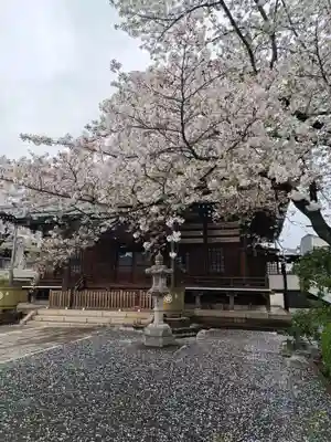寳幢院(東京都)