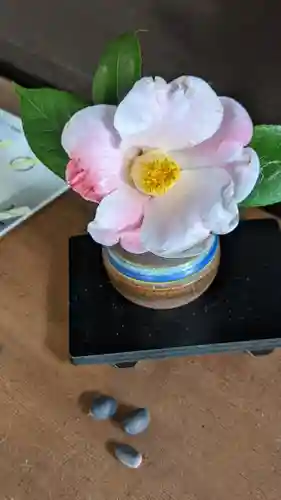 妙蓮寺(京都府)