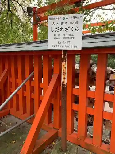 榴岡天満宮のその他建物