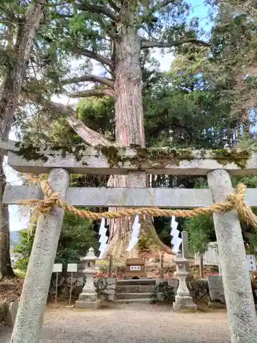 飛龍八幡宮の鳥居