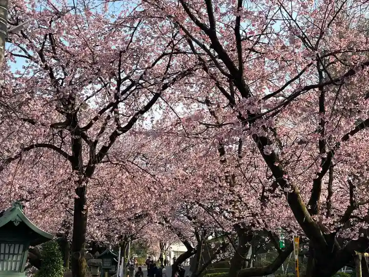 密藏院(埼玉県)