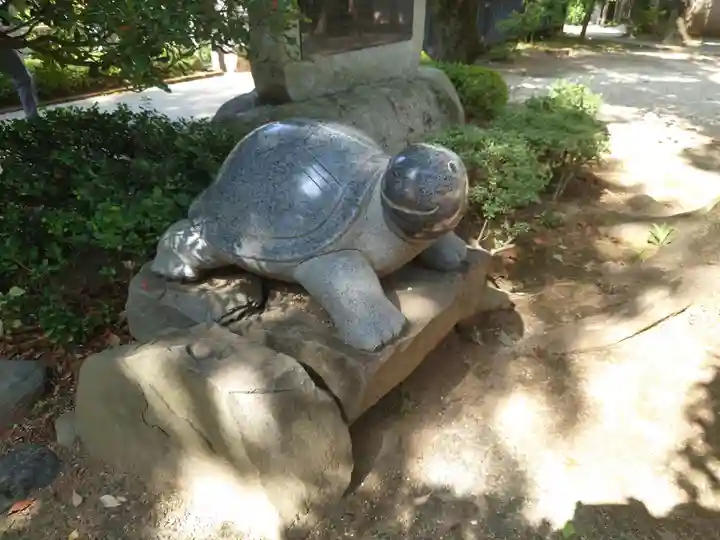 松戸神社の狛犬