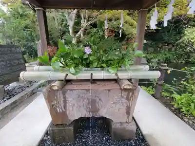 貫井神社の手水舎